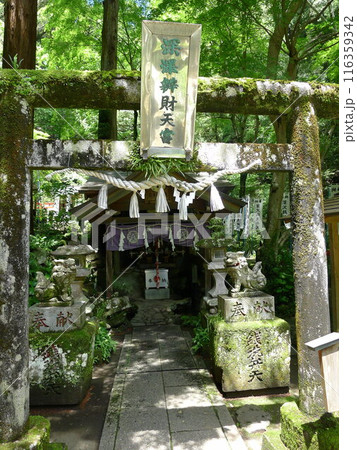 深沢銭洗弁天(塔ノ沢駅) 深沢銭洗弁天(塔ノ沢駅) 116359342