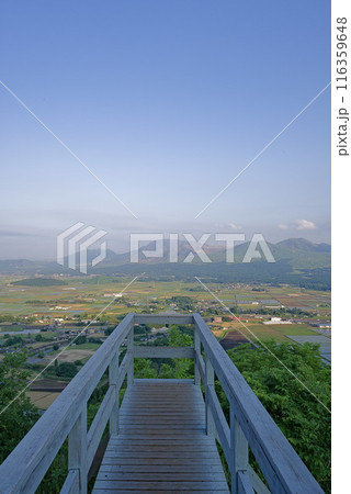 展望台から望む阿蘇山 展望台から望む阿蘇山 116359648