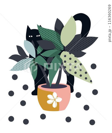 Black cat peeks out from behind the leaves. A pet and a flower in a pot poster. Flat vector illustration. Black cat peeks out from behind the leaves. A pet and a flower in a pot poster. Flat vector illustration. 116360269