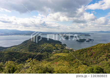 来島海峡大橋を望む 来島海峡大橋を望む 116360603