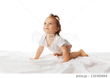 Curious baby girl, toddler in bodysuit crawling on bed, playing, moving isolated on white background. Active kid Curious baby girl, toddler in bodysuit crawling on bed, playing, moving isolated on white background. Active kid 116360669