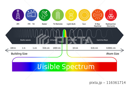 Spectrum wavelength. Visible spectrum color range. Educational physics light line. Wavelengths of the visible part of the spectrum for human eyes 116361714