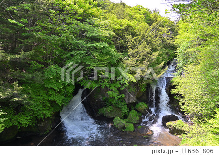 新緑と竜頭の滝 (栃木県・日光市) 新緑と竜頭の滝 (栃木県・日光市) 116361806