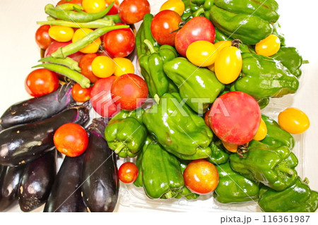 採れたての新鮮な夏野菜の集合 116361987