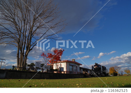 静態保存 旧国鉄広尾線愛国駅跡 国鉄SL蒸気機関車6 静態保存 旧国鉄広尾線愛国駅跡 国鉄SL蒸気機関車6 116362525