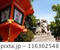 灯篭と狛犬と青空 116362548