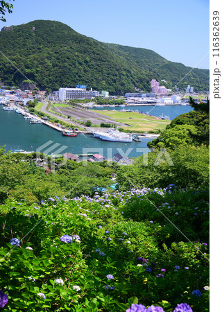 下田市遠望 116362639