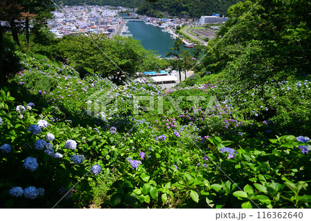 下田市遠望 下田市遠望 116362640