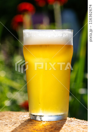 Cold Beer in Pint Glass with Garden Background Cold Beer in Pint Glass with Garden Background 116362674