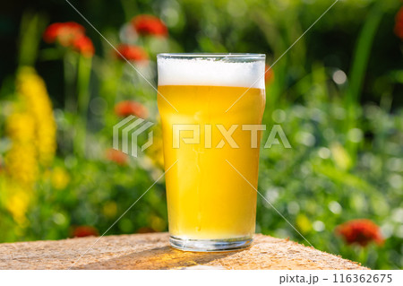 Cold Beer in Pint Glass with Garden Background Cold Beer in Pint Glass with Garden Background 116362675
