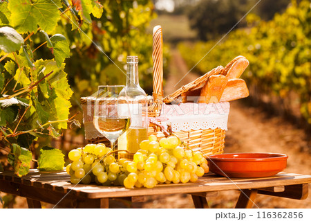 Glass of white wine ripe grapes and picnic basket on table in vineyard Glass of white wine ripe grapes and picnic basket on table in vineyard 116362856