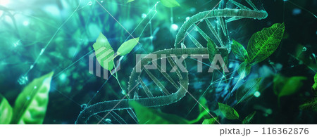 DNA Strands Abstract Scientific 3D Background 116362876