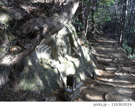 熊野古道 熊野古道 116363014
