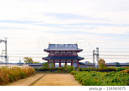 【奈良県】奈良市 平城宮跡 (2022/11/17撮影) 116363075
