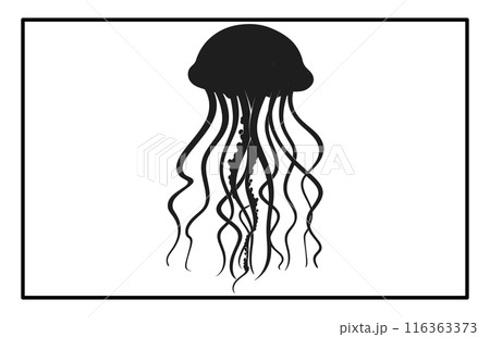 Silhouette of jellyfish, Jellyfish design illustration Silhouette of jellyfish, Jellyfish design illustration 116363373