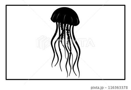 Silhouette of jellyfish, Jellyfish design illustration 116363378