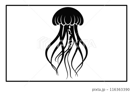 Silhouette of jellyfish, Jellyfish design illustration 116363390