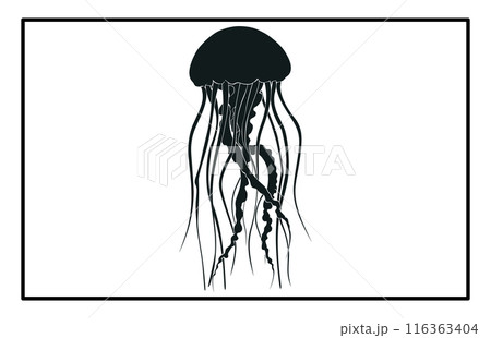 Silhouette of jellyfish, Jellyfish design illustration 116363404