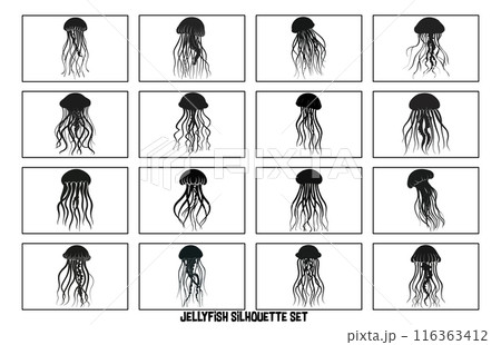 Silhouette of jellyfish, Jellyfish design illustration 116363412