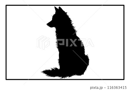 Jackal Silhouette, Hand drawn silhouette of a wild black backed jackal Illustration Jackal Silhouette, Hand drawn silhouette of a wild black backed jackal Illustration 116363415