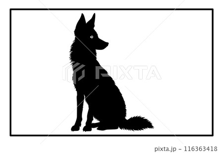 Jackal Silhouette, Hand drawn silhouette of a wild black backed jackal Illustration 116363418