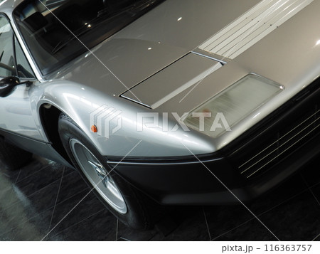 輸入スポーツカーの展示車両 116363757