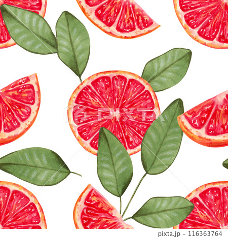 Seamless background of grapefruit slices with leaves. Watercolor illustration. Slices of red citrus fruits. Hand drawn isolated art. Wallpaper ecological product for fabric and kitchen textiles. Seamless background of grapefruit slices with leaves. Watercolor illustration. Slices of red citrus fruits. Hand drawn isolated art. Wallpaper ecological product for fabric and kitchen textiles. 116363764