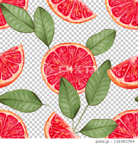 Seamless background of grapefruit slices with leaves. Watercolor illustration. Slices of red citrus fruits. Hand drawn isolated art. Wallpaper ecological product for fabric and kitchen textiles. 116363764