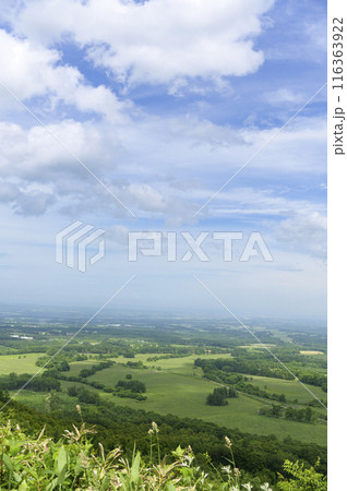 北海道 十勝平野 清水円山展望台からの眺め 116363922