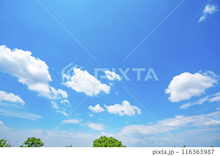 夏の雲と木立 夏の雲と木立 116363987