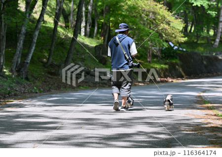 カメラを持って愛犬と散歩する男性 チワワ 多頭飼い 夏イメージ カメラを持って愛犬と散歩する男性 チワワ 多頭飼い 夏イメージ 116364174