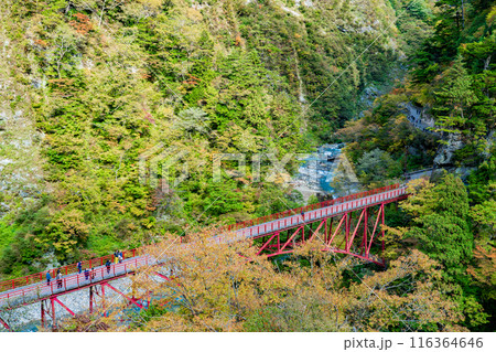 黒部峡谷の欅平　奥鐘橋と黒部の渓谷美 116364646