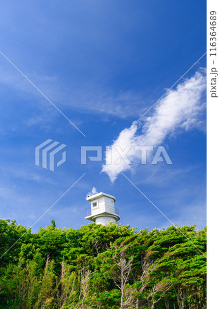 （静岡県）伊豆・恵比須島に建つ灯台 116364689