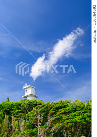 (静岡県)伊豆・恵比須島に建つ灯台 (静岡県)伊豆・恵比須島に建つ灯台 116364692