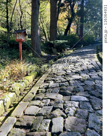 参道の石段 116364931