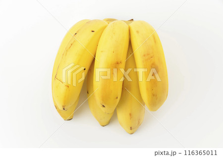 モンキーバナナ 116365011
