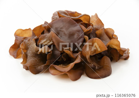 生きくらげ 生きくらげ 116365076