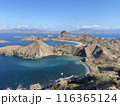 インドネシア labuan bajo　コモド島からの絶景 116365124