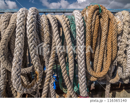 Old mooring cables drying in the port 116365140