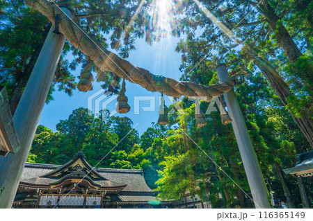 奈良県桜井市 大神神社の縄鳥居と拝殿 奈良県桜井市 大神神社の縄鳥居と拝殿 116365149