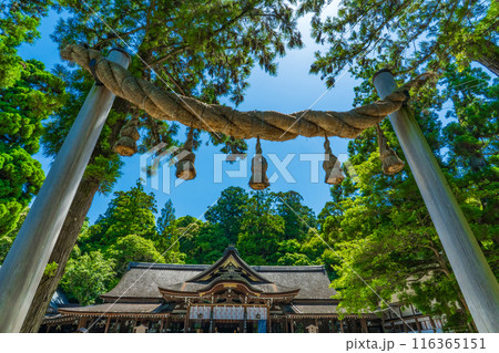 奈良県桜井市 大神神社の縄鳥居と拝殿 奈良県桜井市 大神神社の縄鳥居と拝殿 116365151