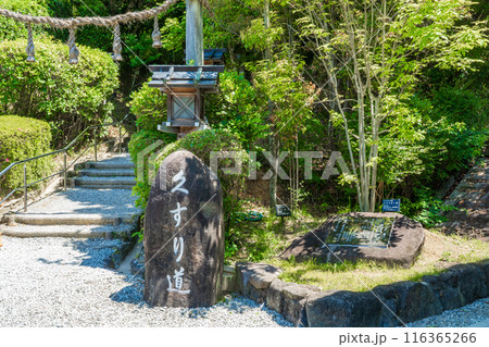 奈良県桜井市　狭井神社への参道　くすり道 116365266