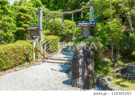 奈良県桜井市　狭井神社への参道　くすり道 116365267