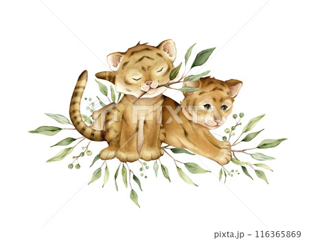 Cute kawaii two tigers jumping and sitting with green branch eucalyptus. Watercolor hand drawn illustration african animal isolated on background. Cartoon kids print minimalist scandinavian style. 116365869