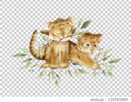 Cute kawaii two tigers jumping and sitting with green branch eucalyptus. Watercolor hand drawn illustration african animal isolated on background. Cartoon kids print minimalist scandinavian style. 116365869