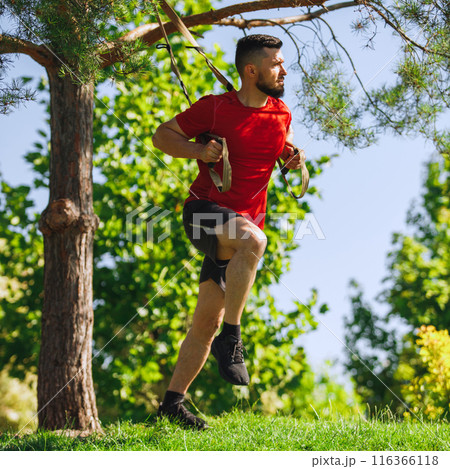 Focused muscular man in red t-shirt doing TRX workout outdoors, in early mooring in park, doing legs exercises. Focused muscular man in red t-shirt doing TRX workout outdoors, in early mooring in park, doing legs exercises. 116366118