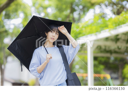 日傘を差す女性 日傘を差す女性 116366130