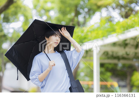 日傘を差す女性 116366131