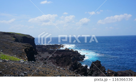 伊豆大島の海岸 伊豆大島の海岸 116366330