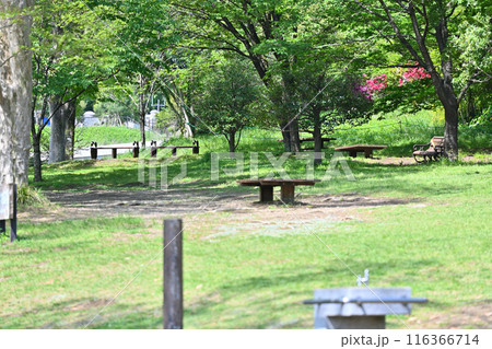 多摩動物公園　園内の風景 116366714